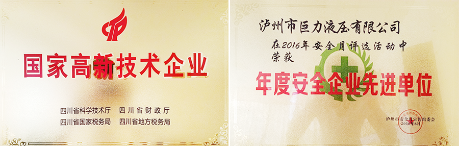 泸州特种液压缸