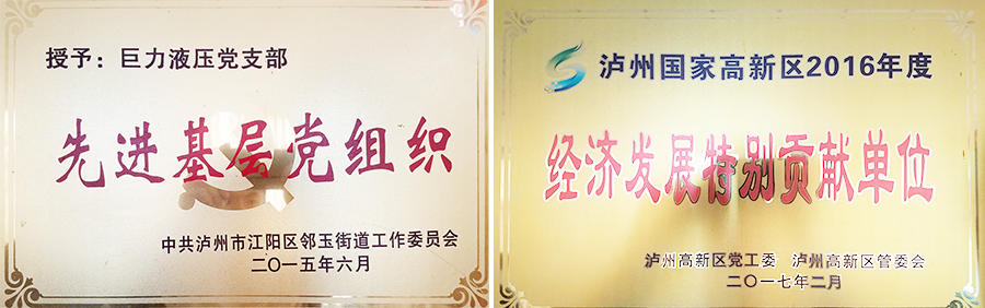泸州特种液压缸