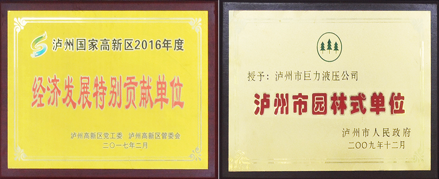 泸州特种液压缸